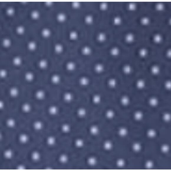 J CREW Navy, Fit & Flare, Polka Dot Dress Size 4 - Picture 6 of 8